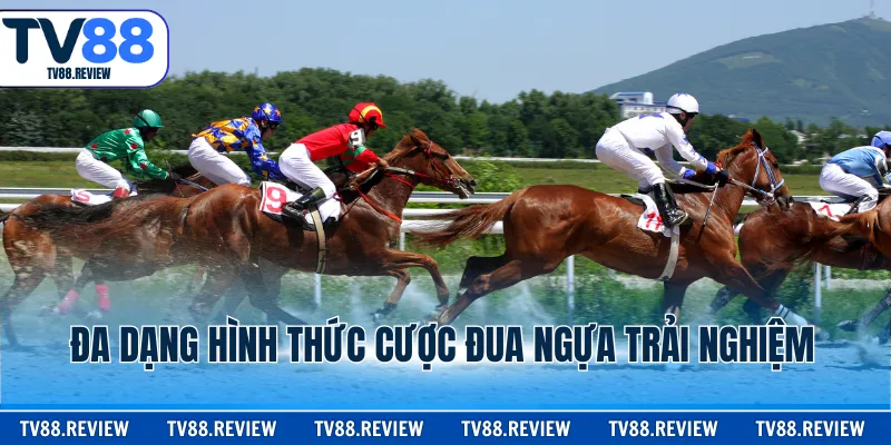 Đa dạng hình thức cược đua ngựa trải nghiệm