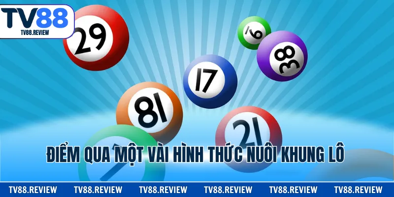 Điểm qua một vài hình thức nuôi khung lô