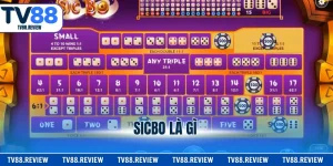 Sicbo Là Gì? Luật Chơi Chi Tiết A - Z Cho Người Mới