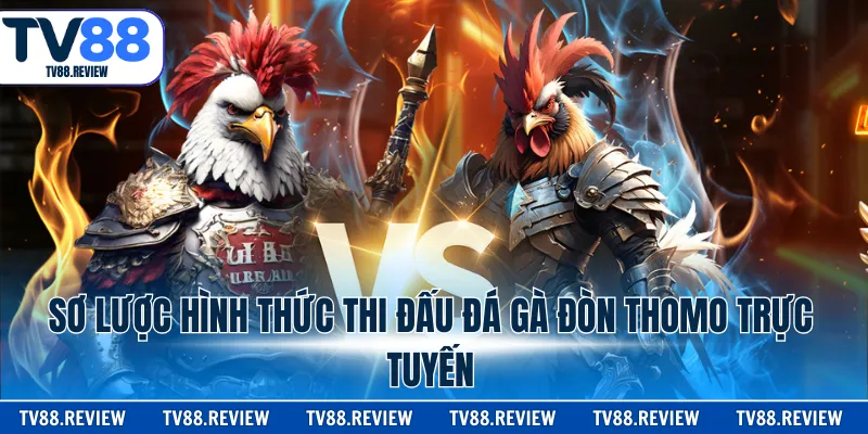 Sơ lược hình thức thi đấu đá gà đòn thomo trực tuyến